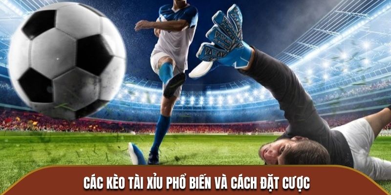 Danh sách kèo phổ biến và cách đặt cược