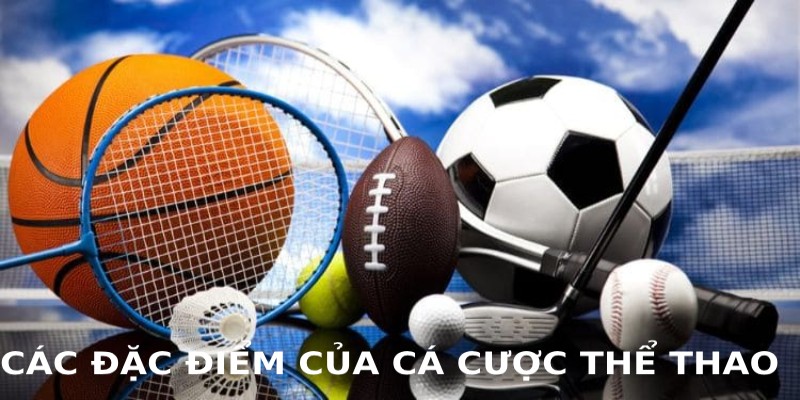 Cá cược thể thao nhận ngay cơ hội trong tầm tay