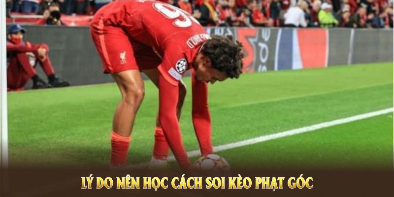 Lý do nên học cách soi kèo phạt góc của nhà cái